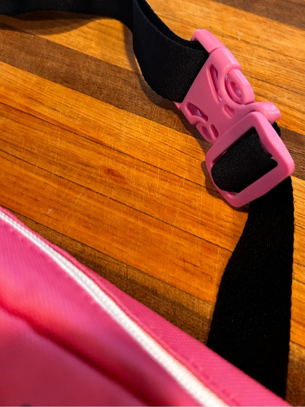 Watermelon Fannypack - Picture 3 of 3